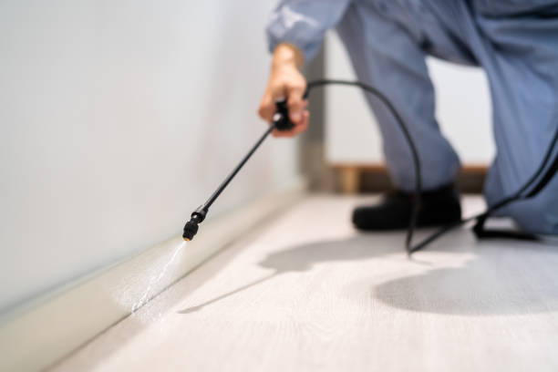 Licensed Termite Control service in Bellevue, IL - Nex Pest Control