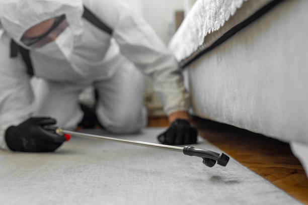 Professional Termite Control technician working in Bellevue, IL