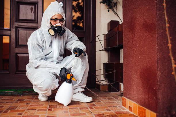 Reliable Termite Control contractor in Bellevue, IL by Nex Pest Control