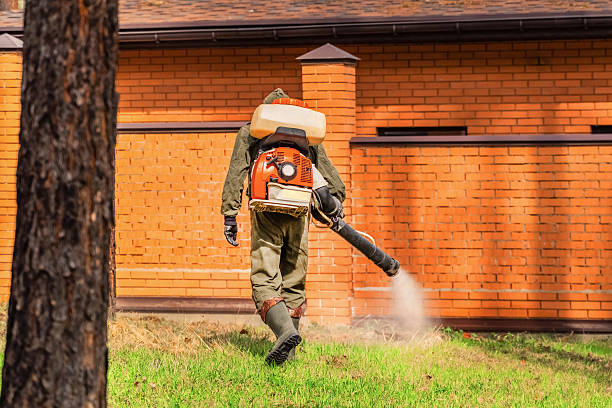 Top rated local Termite Control specialists in Bellevue, IL